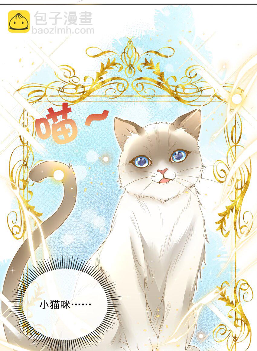 008 小猫咪~38
