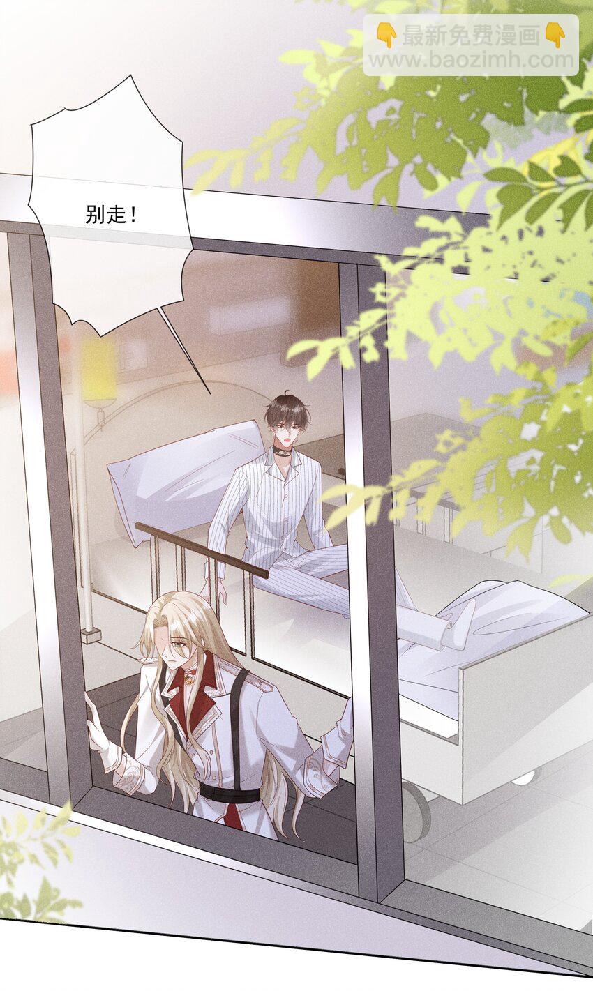 31 发情期33