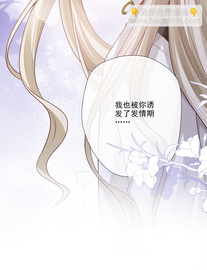 31 发情期37