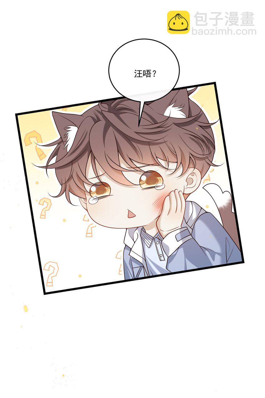 031 单身狗的悲哀？汪呜！39