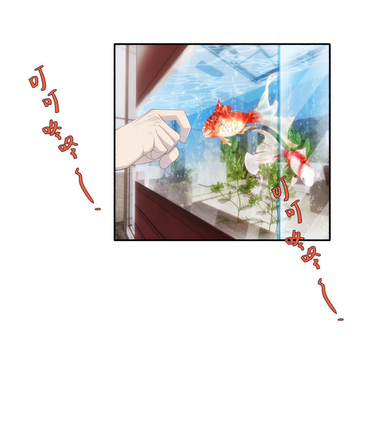 34钢城藏龙：有这等宝物？！29