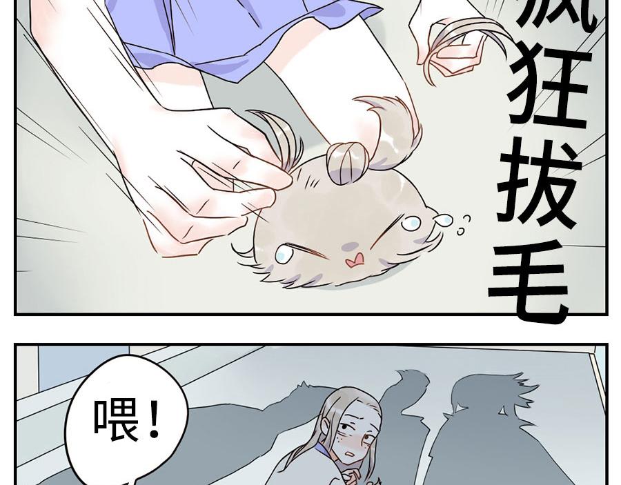 第35话 脱发妖（下）2