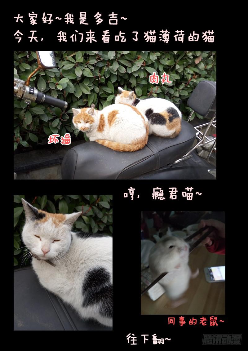 第四话14