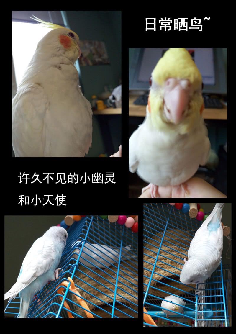 第二十四话15