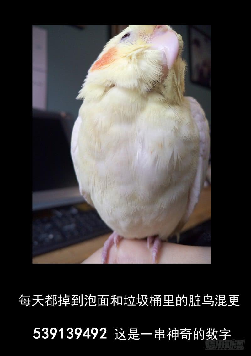 第五十六话11