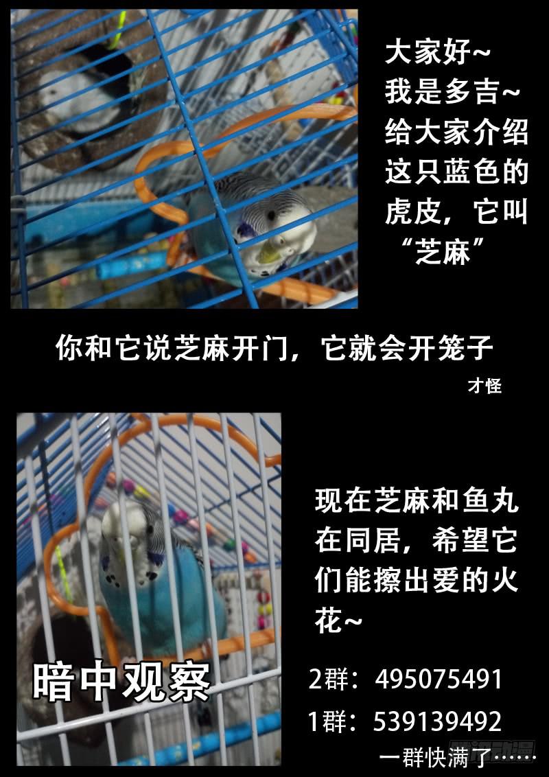 第六十一话11
