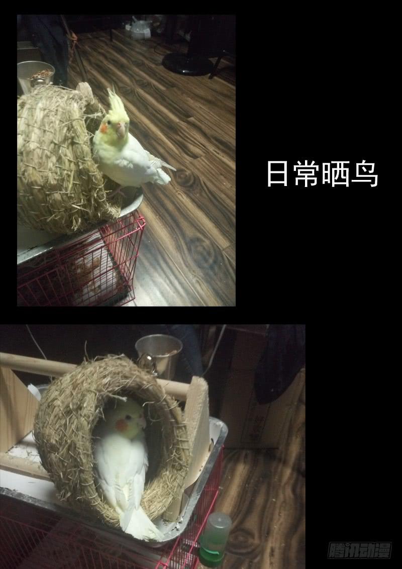 第七十四话9