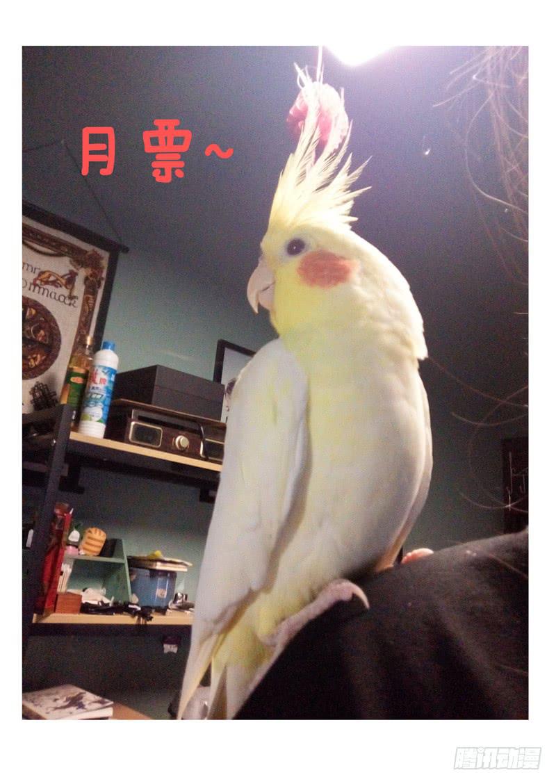 第八十六话9