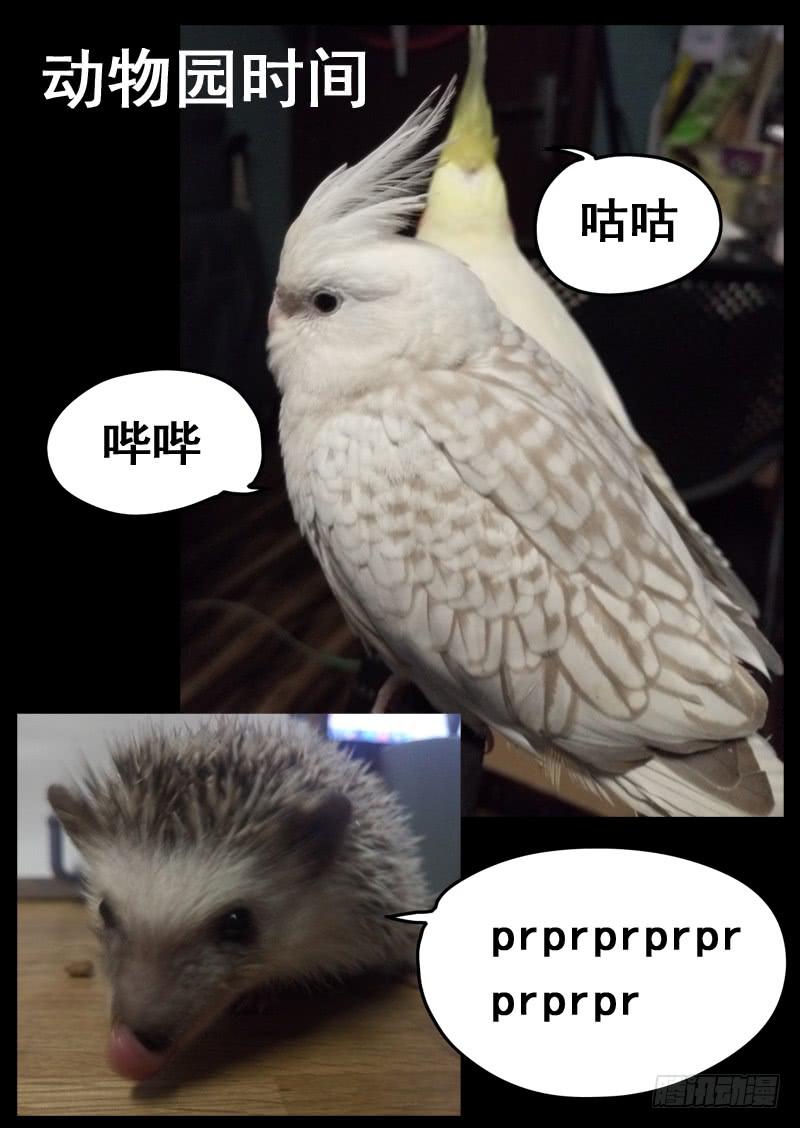 第九十七话9