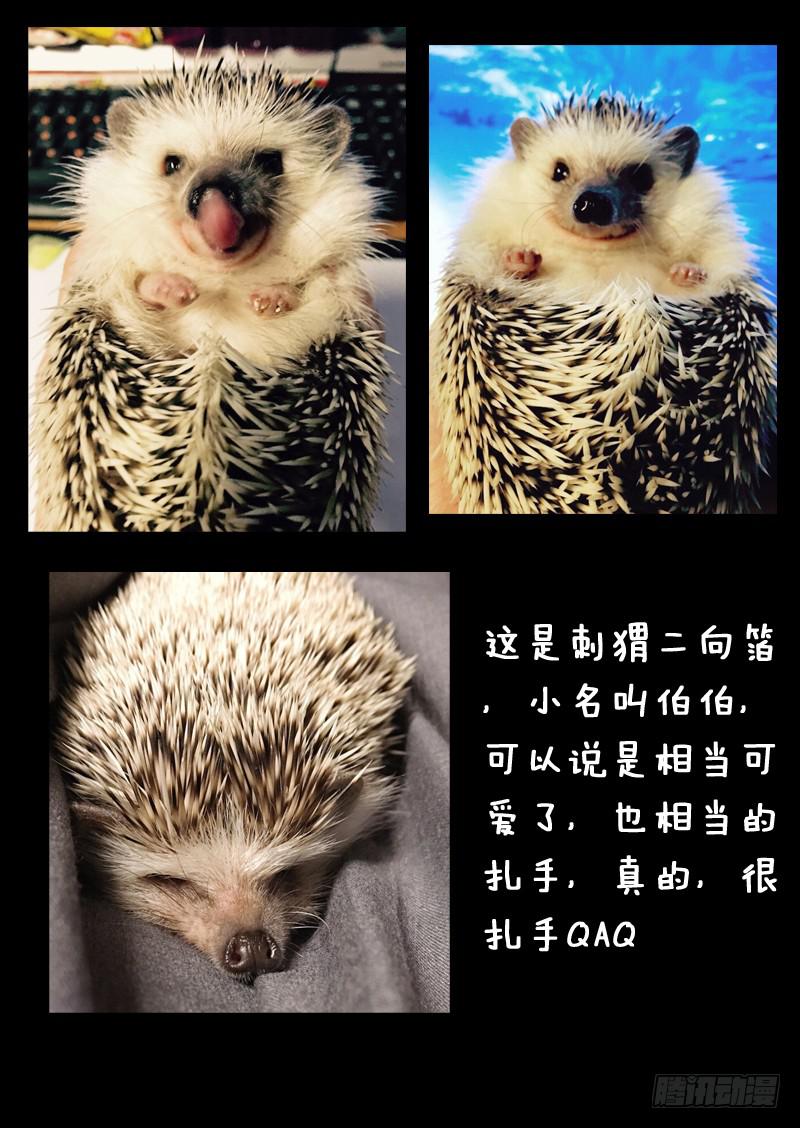 第一一三话10