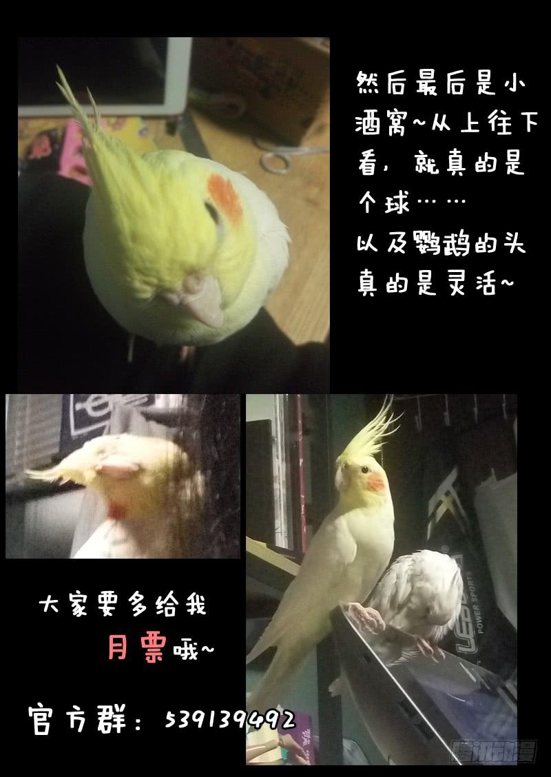 第一一三话11