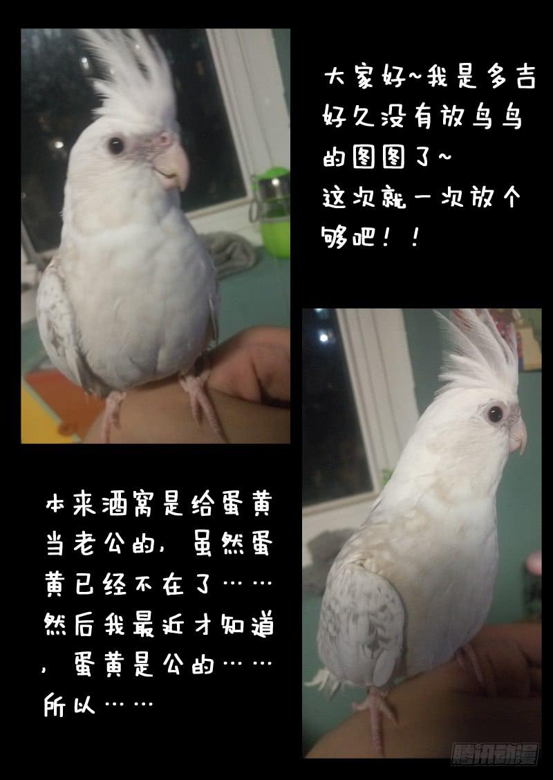 第一一三话9