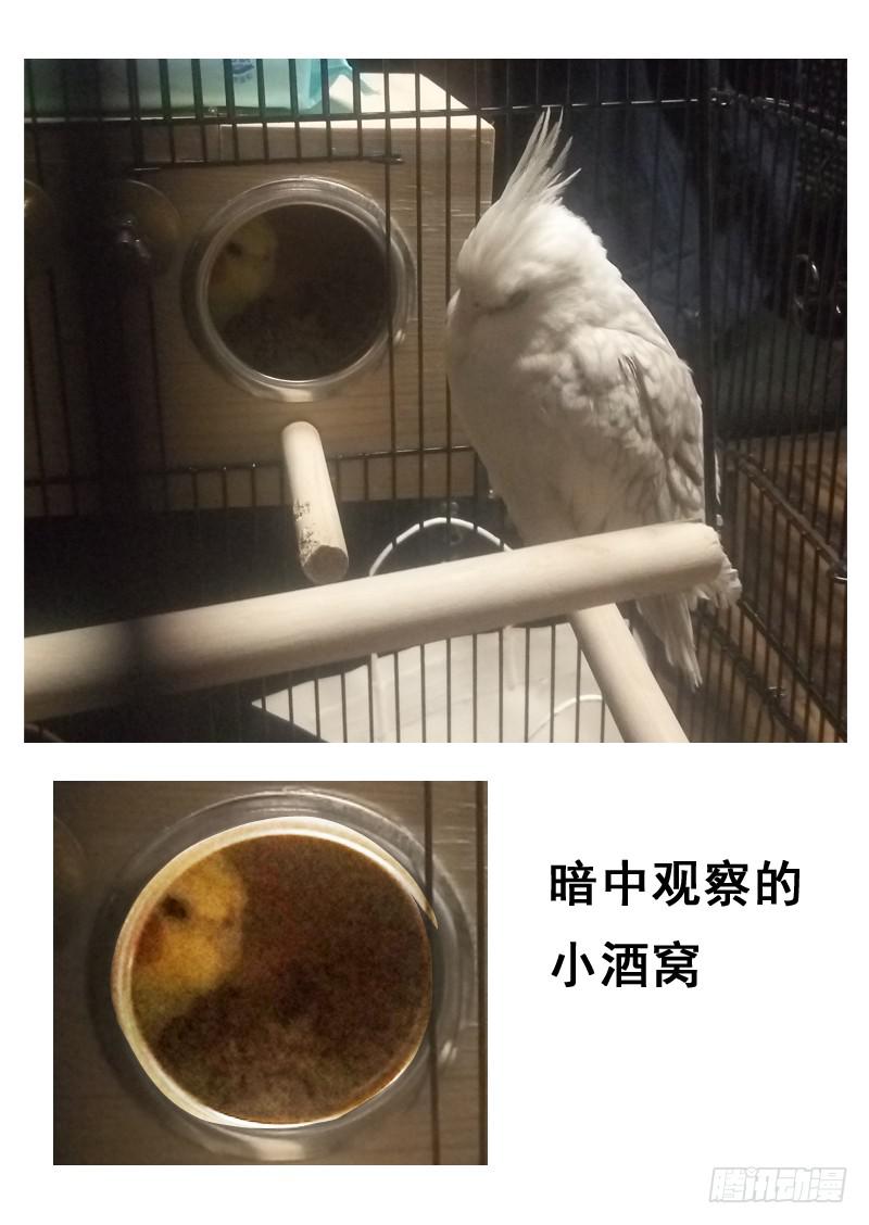 第一三六话15