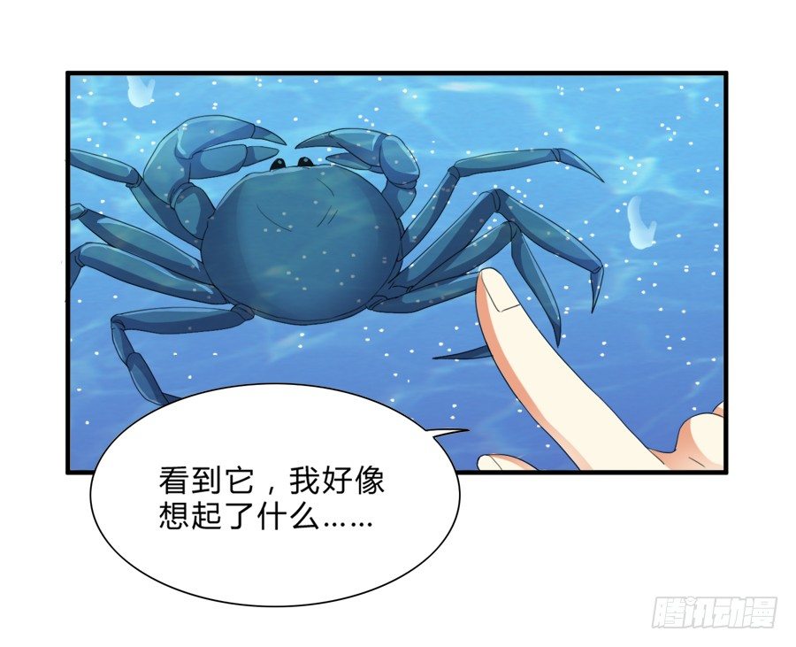 虾酱也湿身了！5