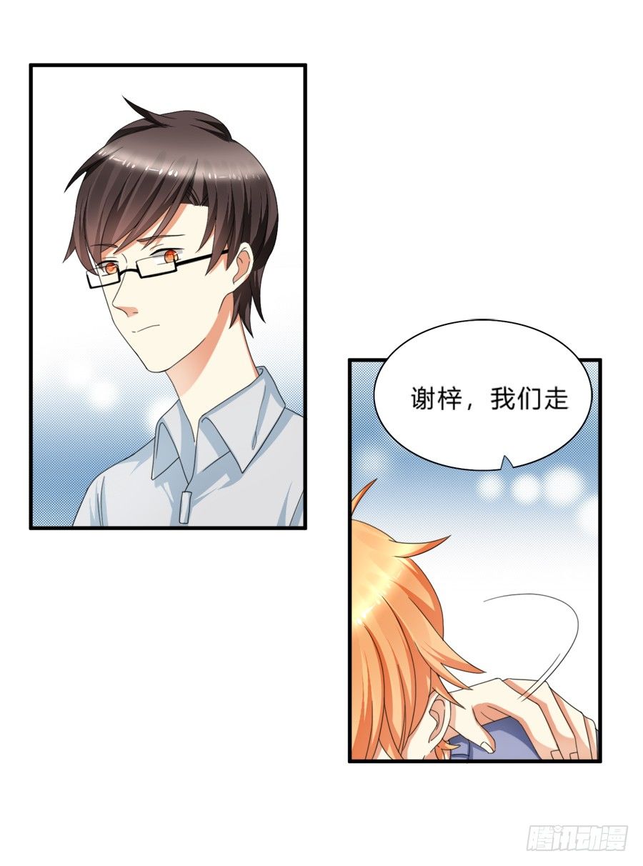 来自喵界的权威！12