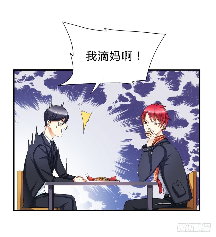 来自喵界的权威！19