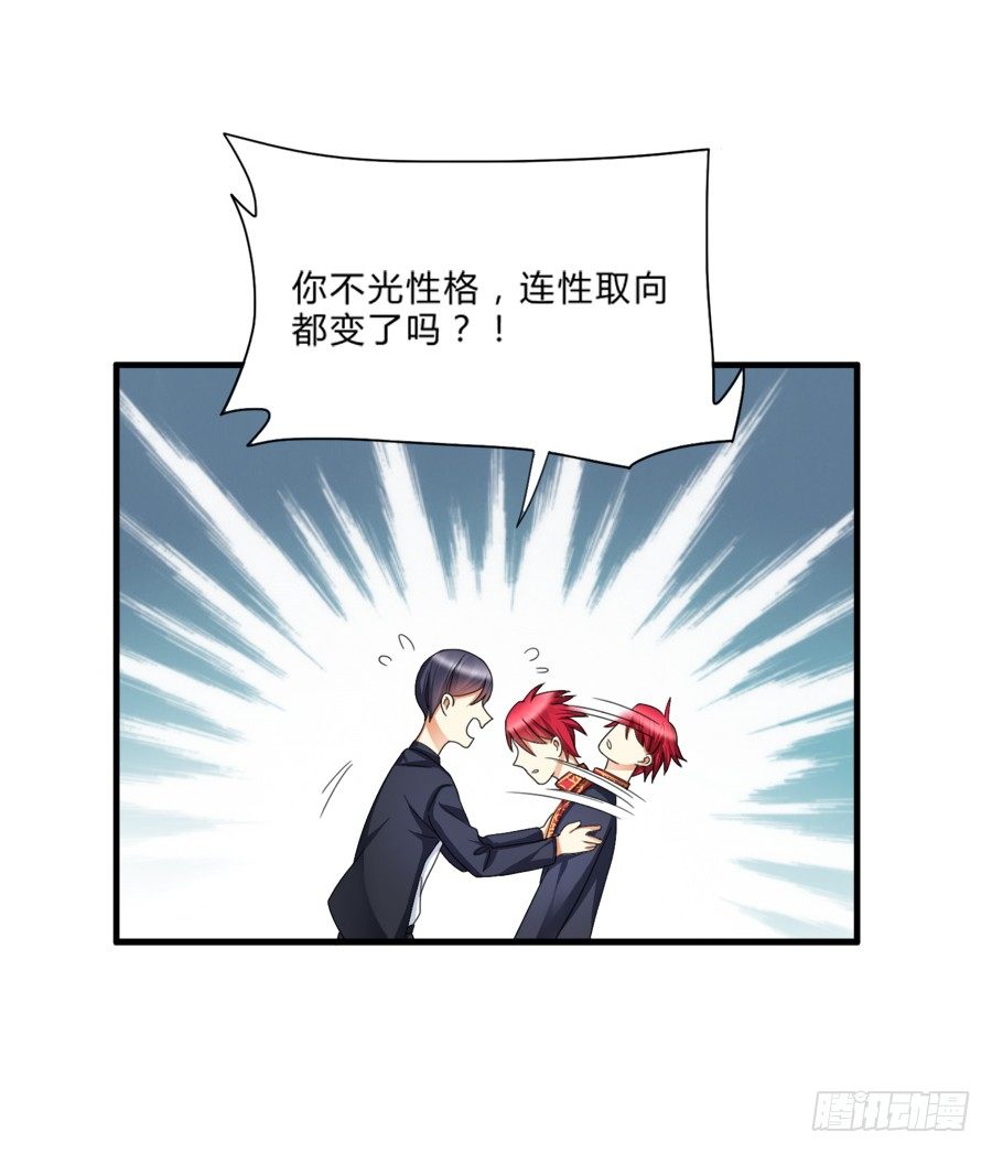 来自喵界的权威！20