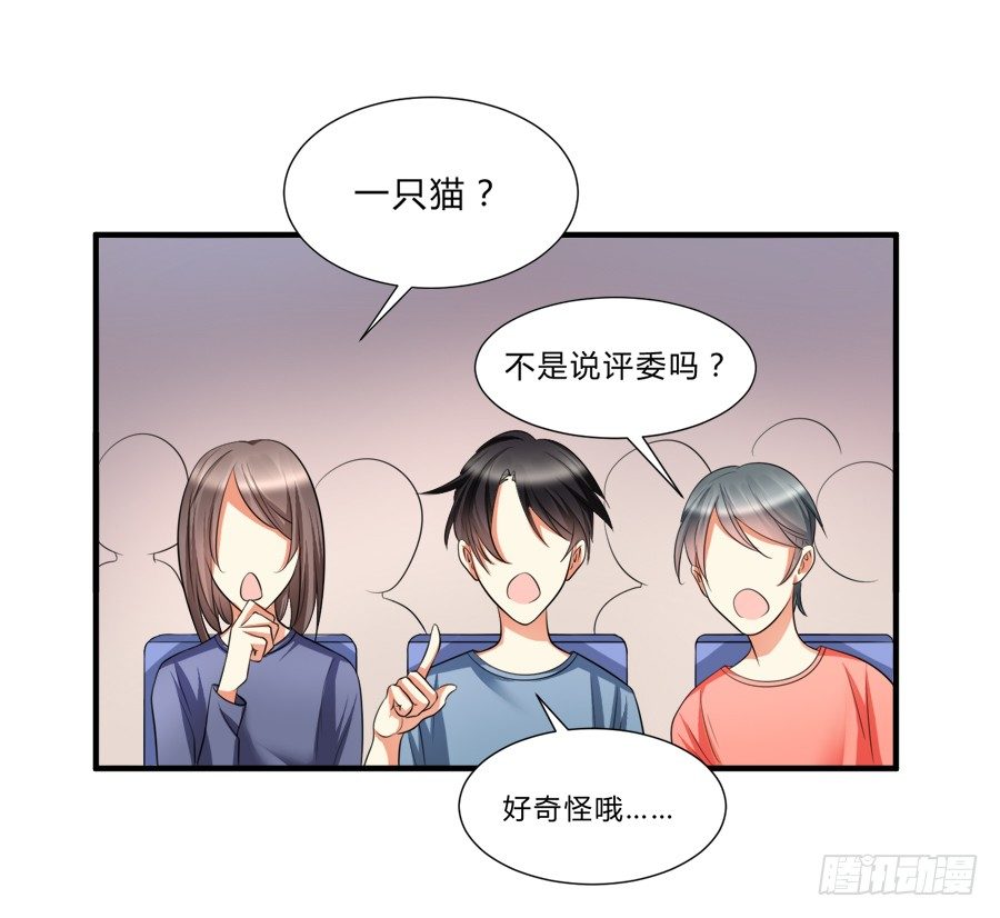 来自喵界的权威！27