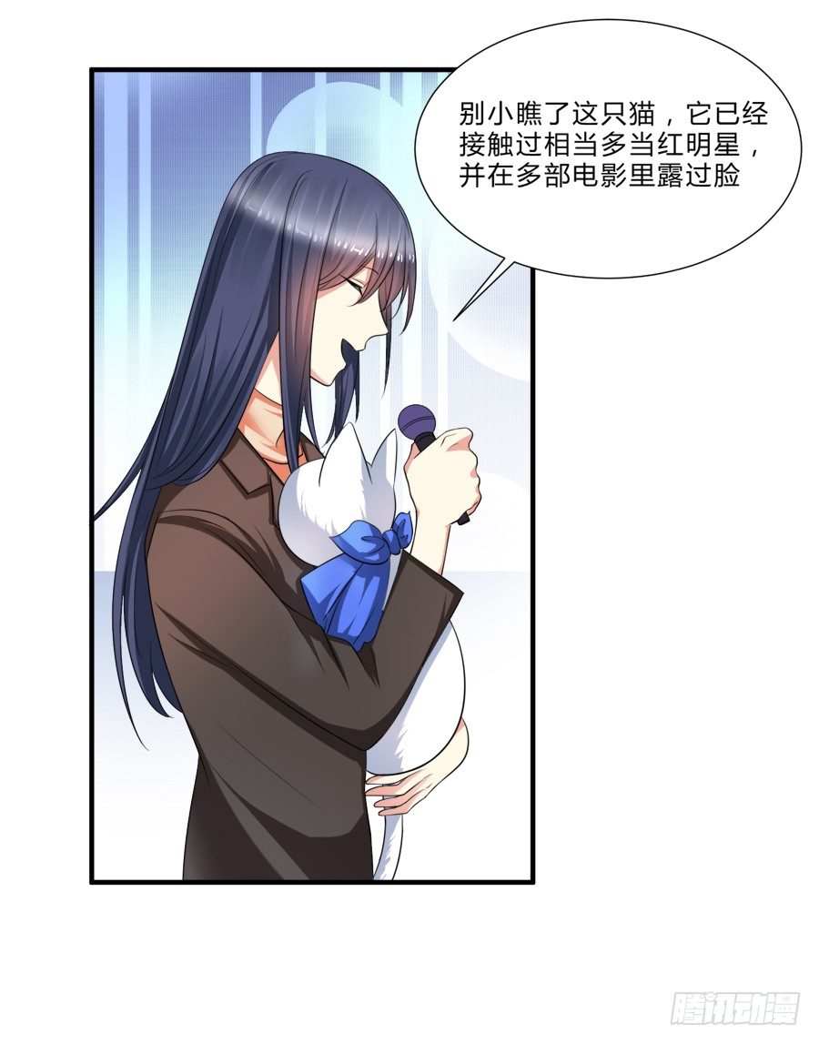 来自喵界的权威！28