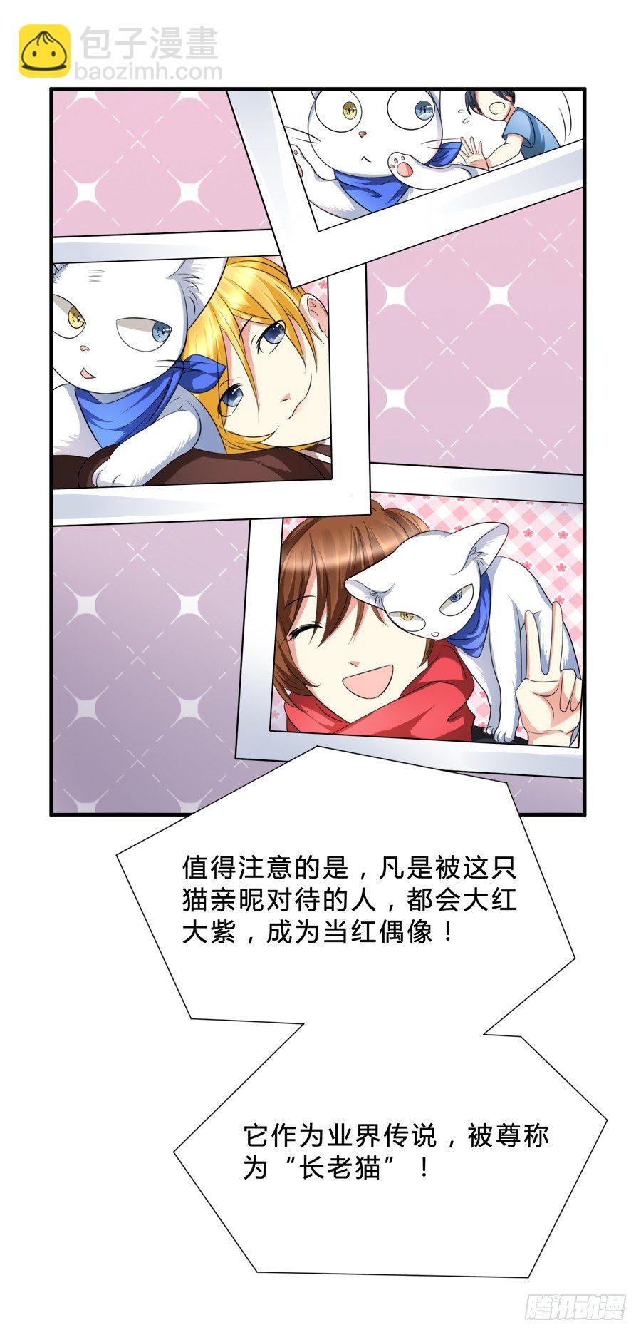 来自喵界的权威！29