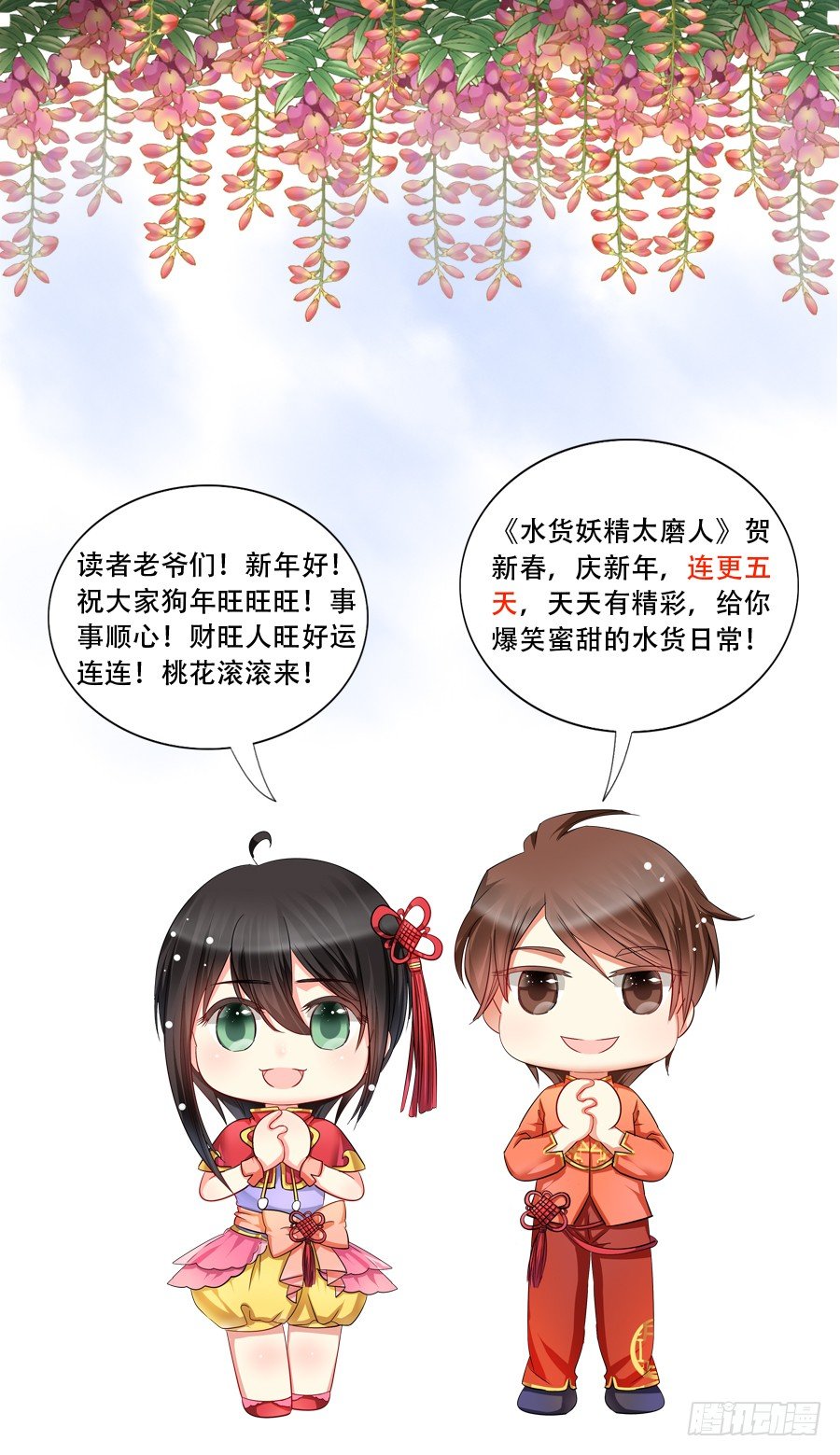 来自喵界的权威！31