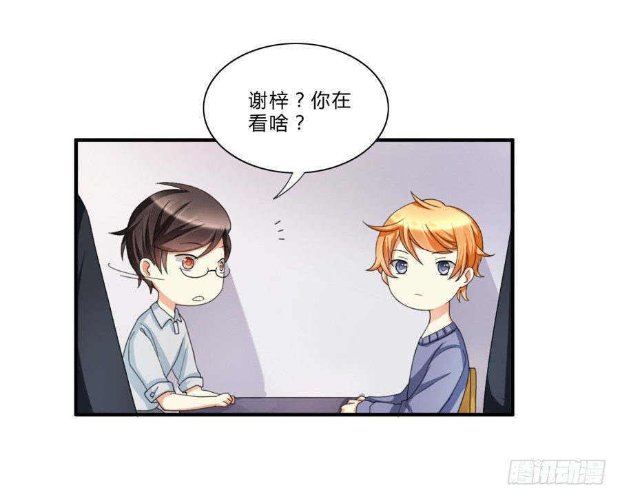 来自喵界的权威！5
