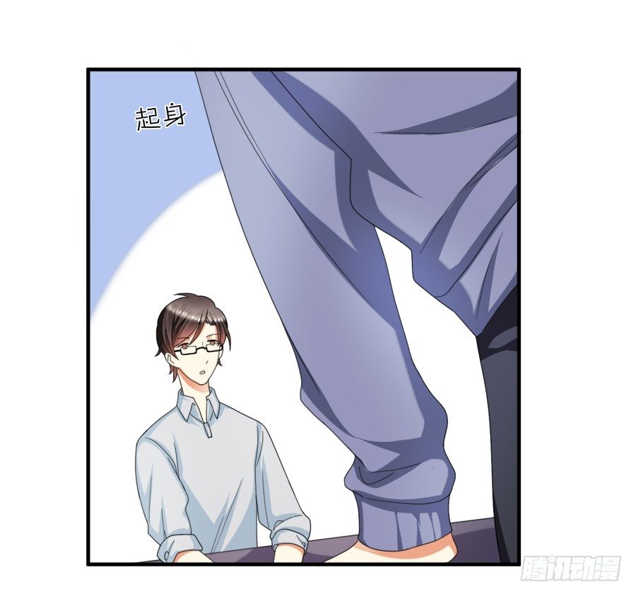 来自喵界的权威！6