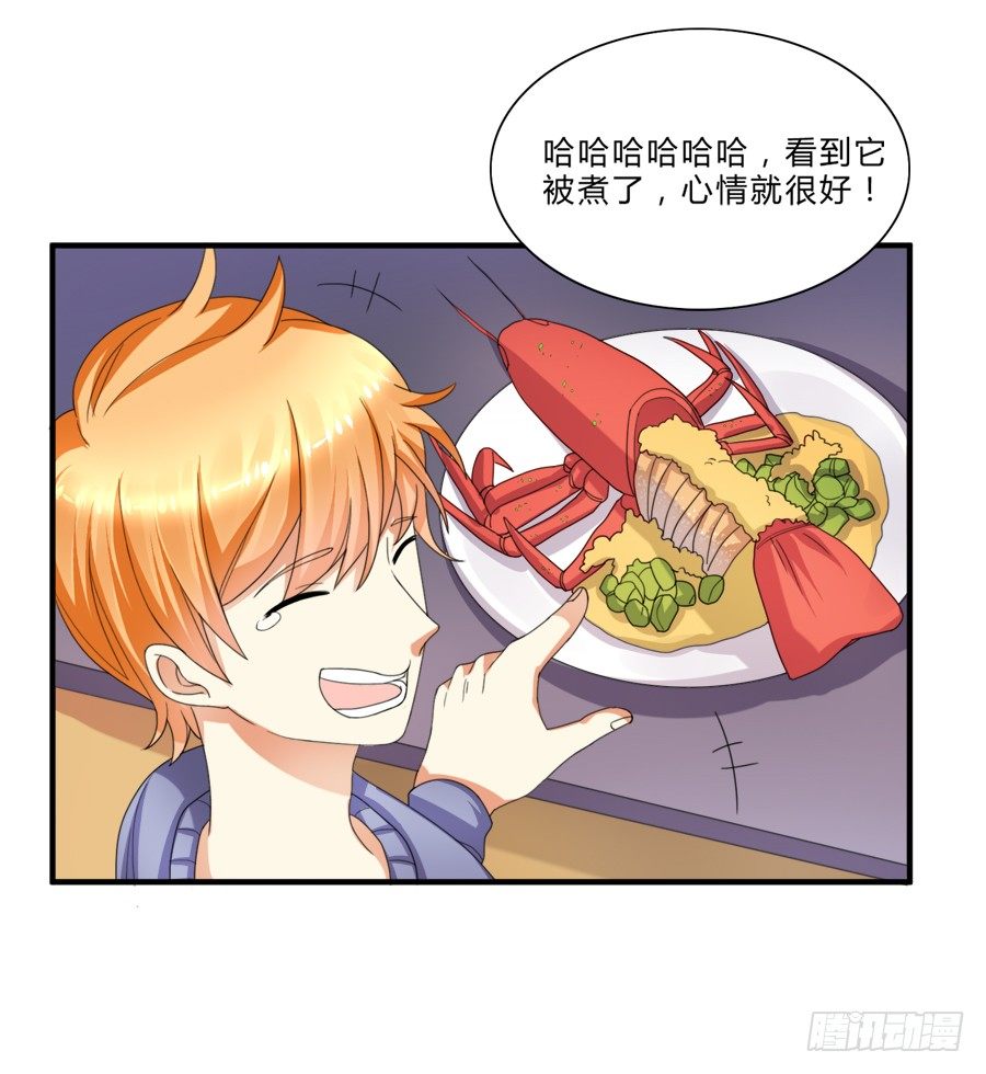 来自喵界的权威！7