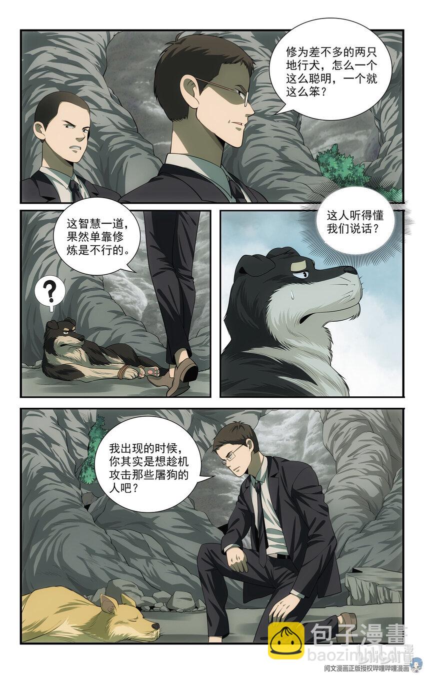 72 智商差11