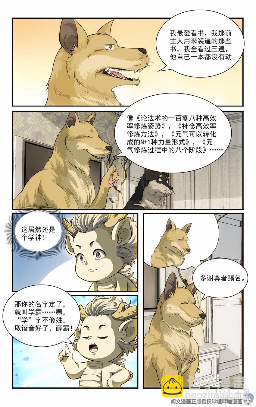 74 二犬落户11