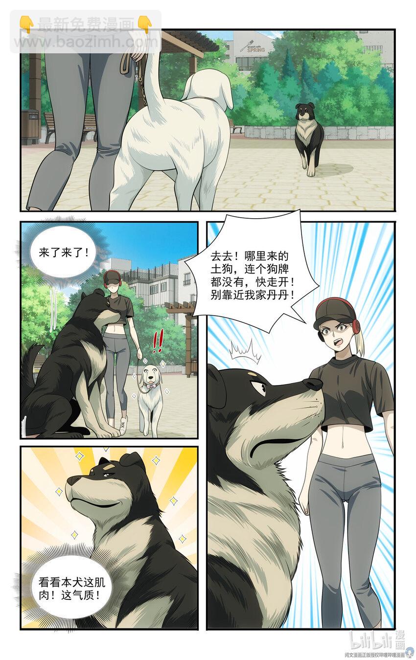69 两条狗10