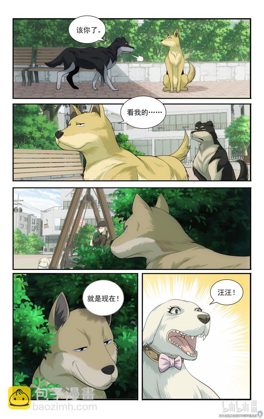 69 两条狗11