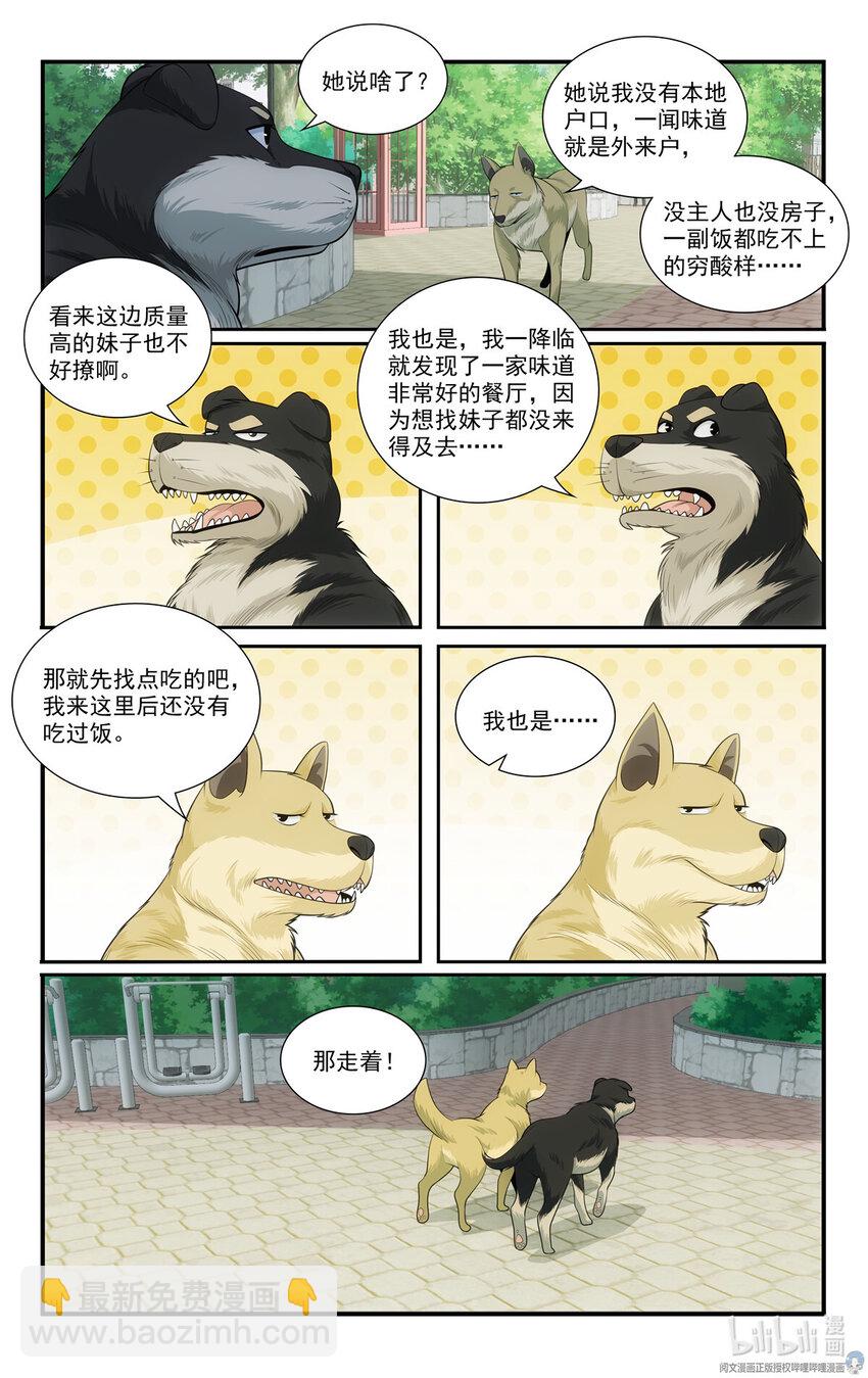 69 两条狗12