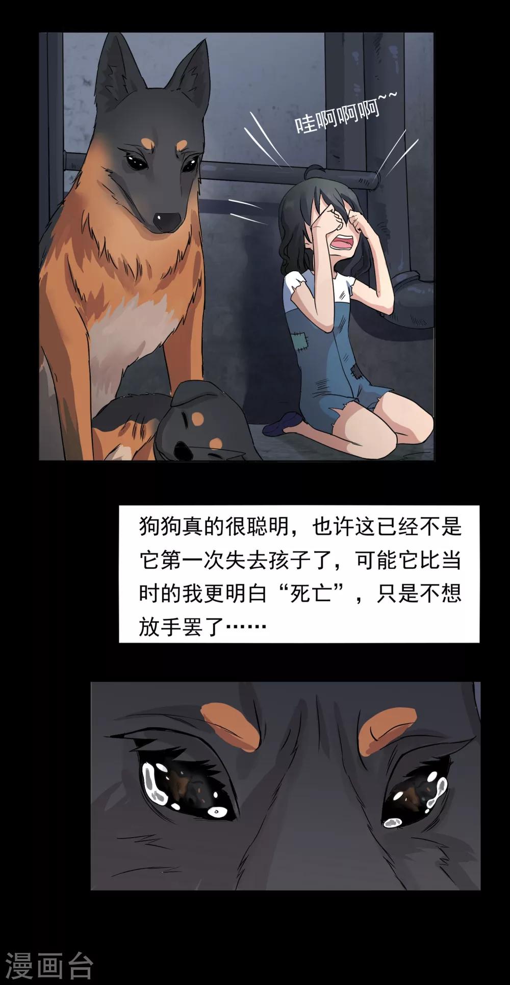 第31话 番外之伊诺篇：流浪19