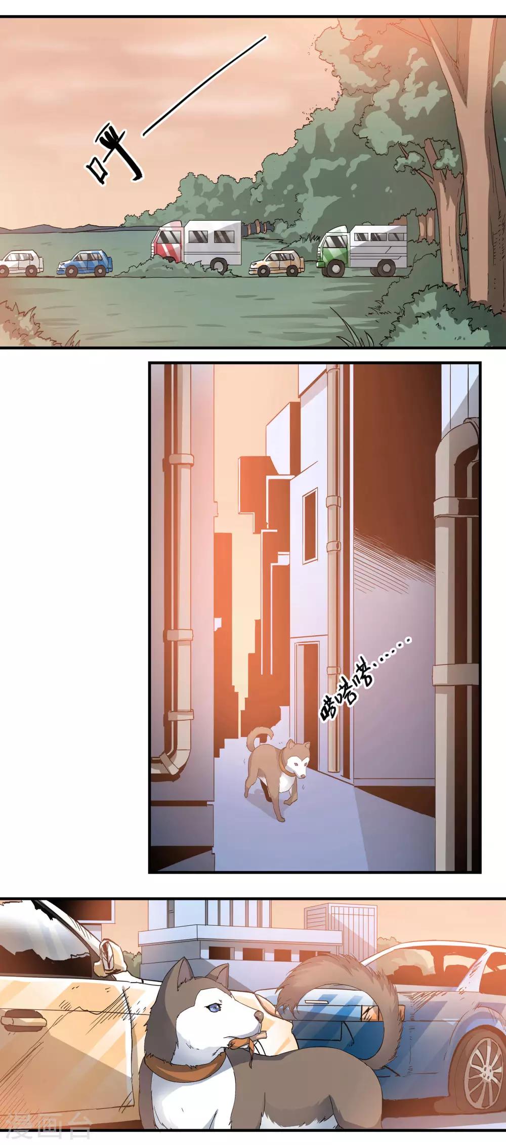 第62话 芯片与狗1