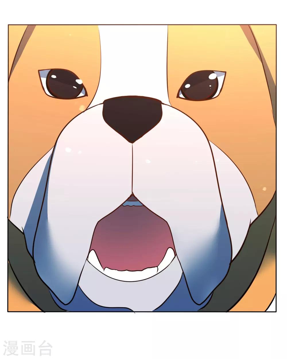 第91话 特别的狗20