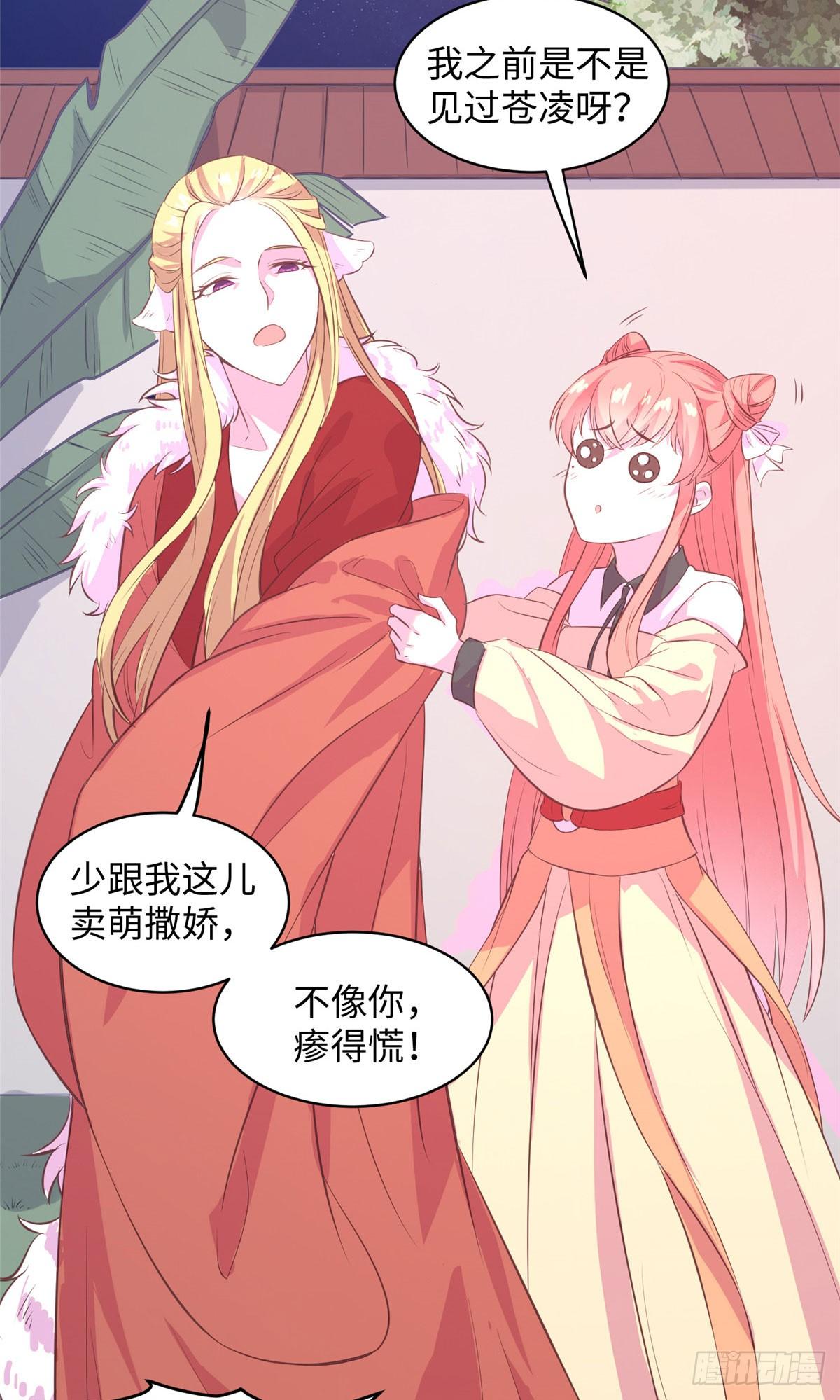 第十五话 你和苍凌没关系21