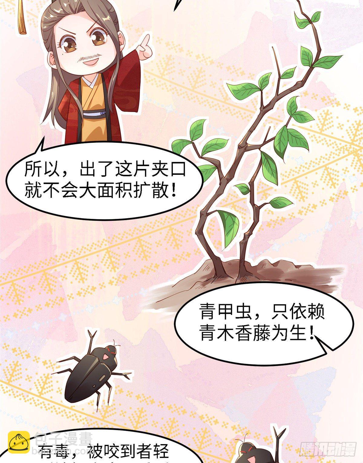 第四十八话 驰援玄武10