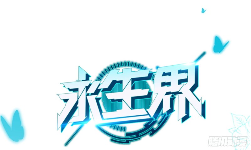 淑女课程0