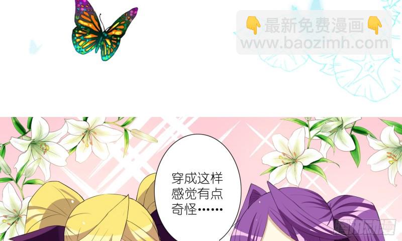 淑女课程2