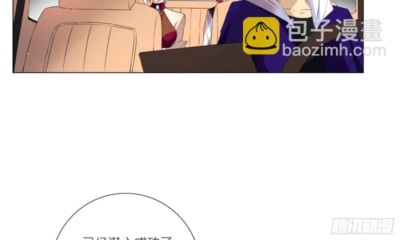 秘密行动29