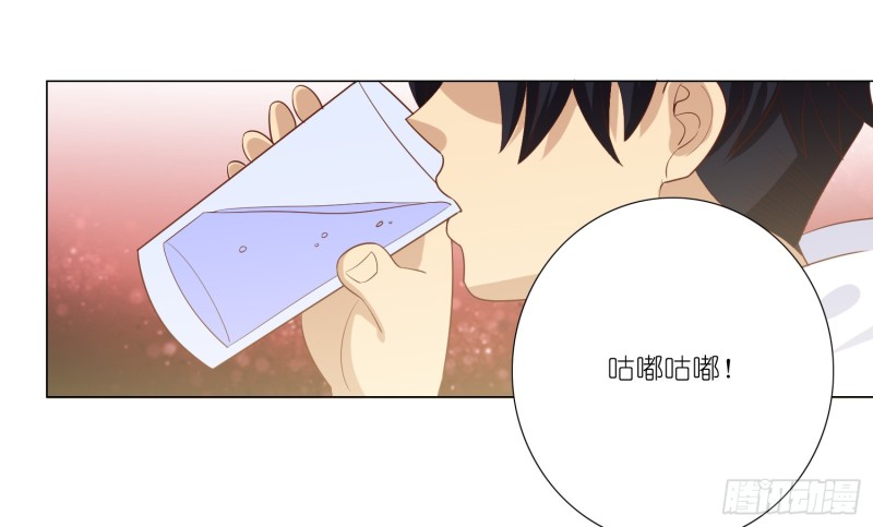 试酒大会43