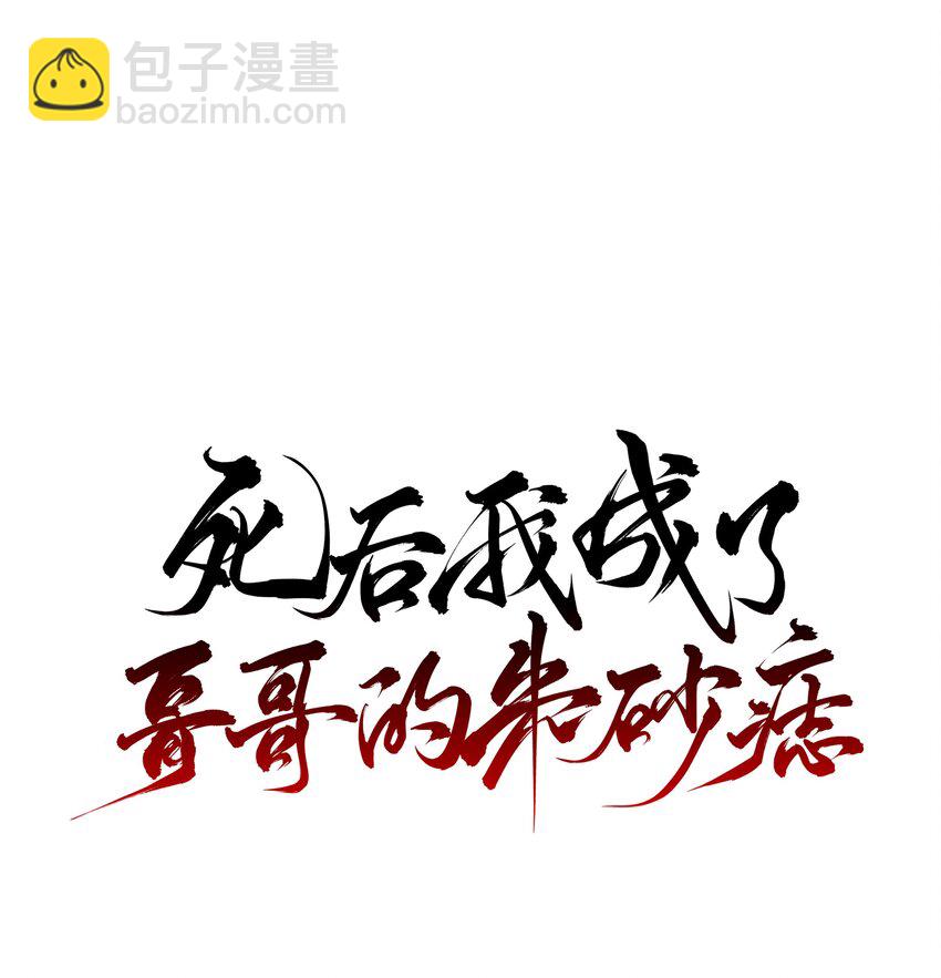 21 白术身上的傀儡符文17