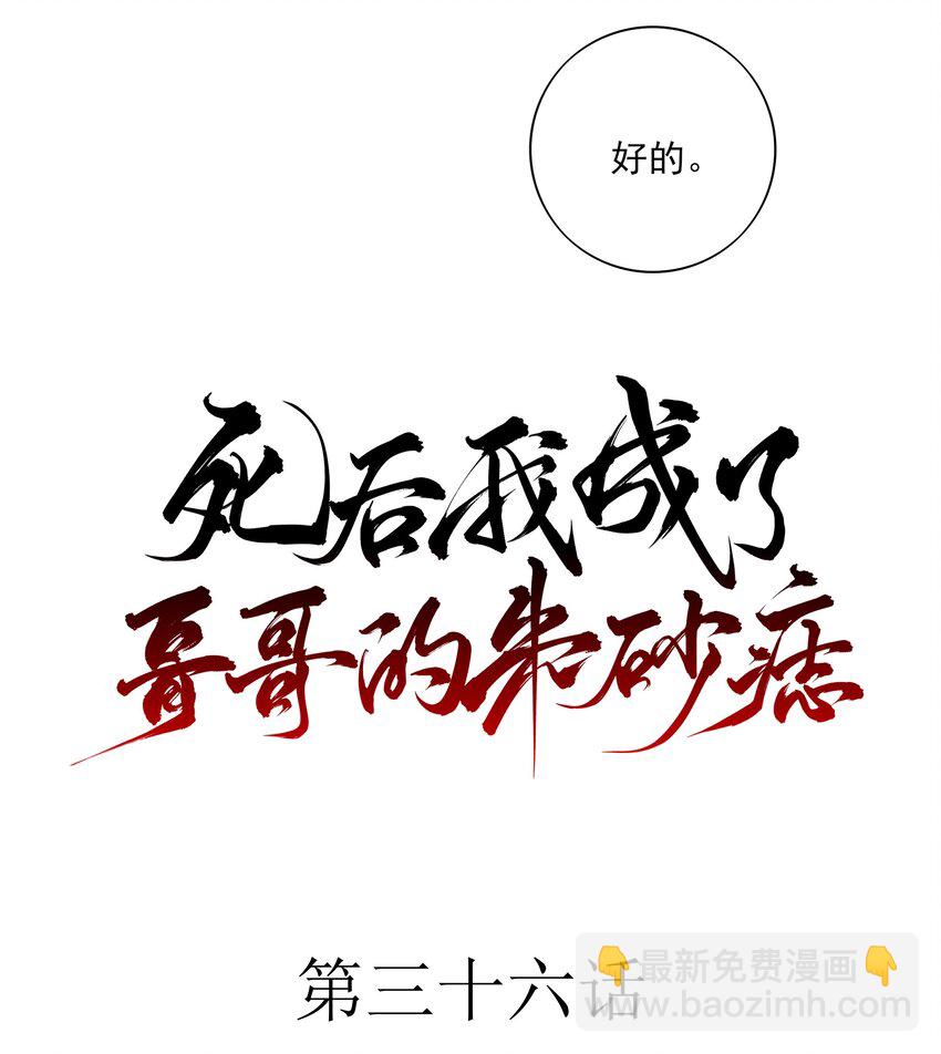36 暴风雨前的宁静3