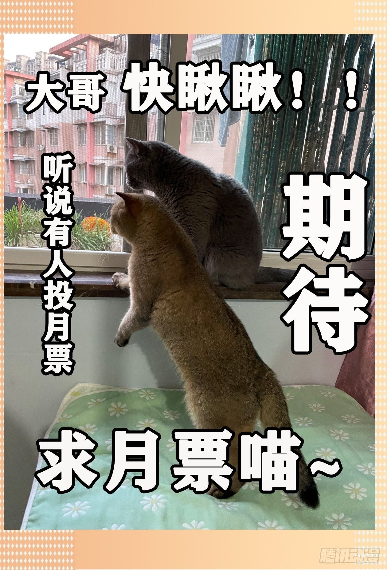 8.五味40