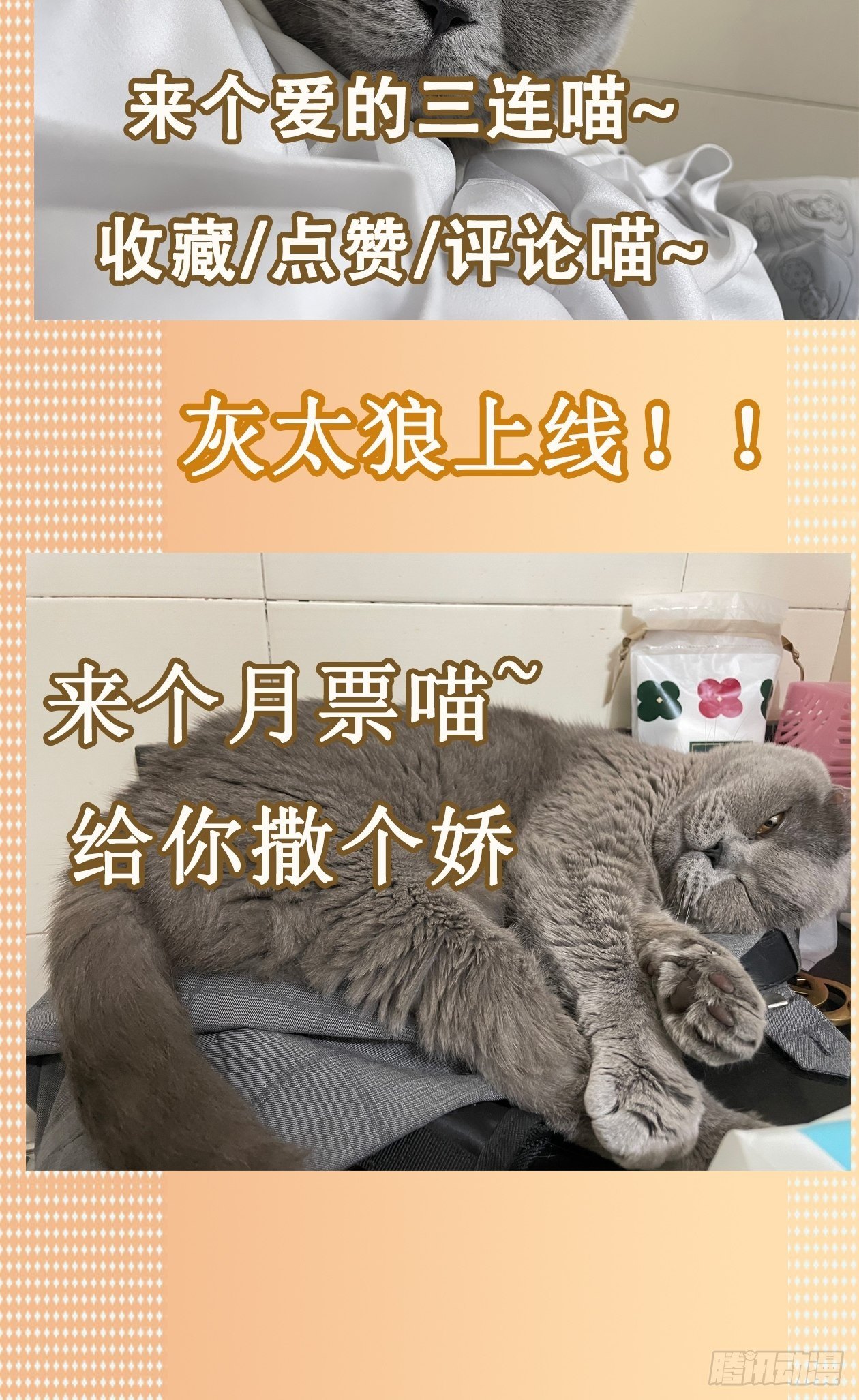 16.鸡汤出锅31