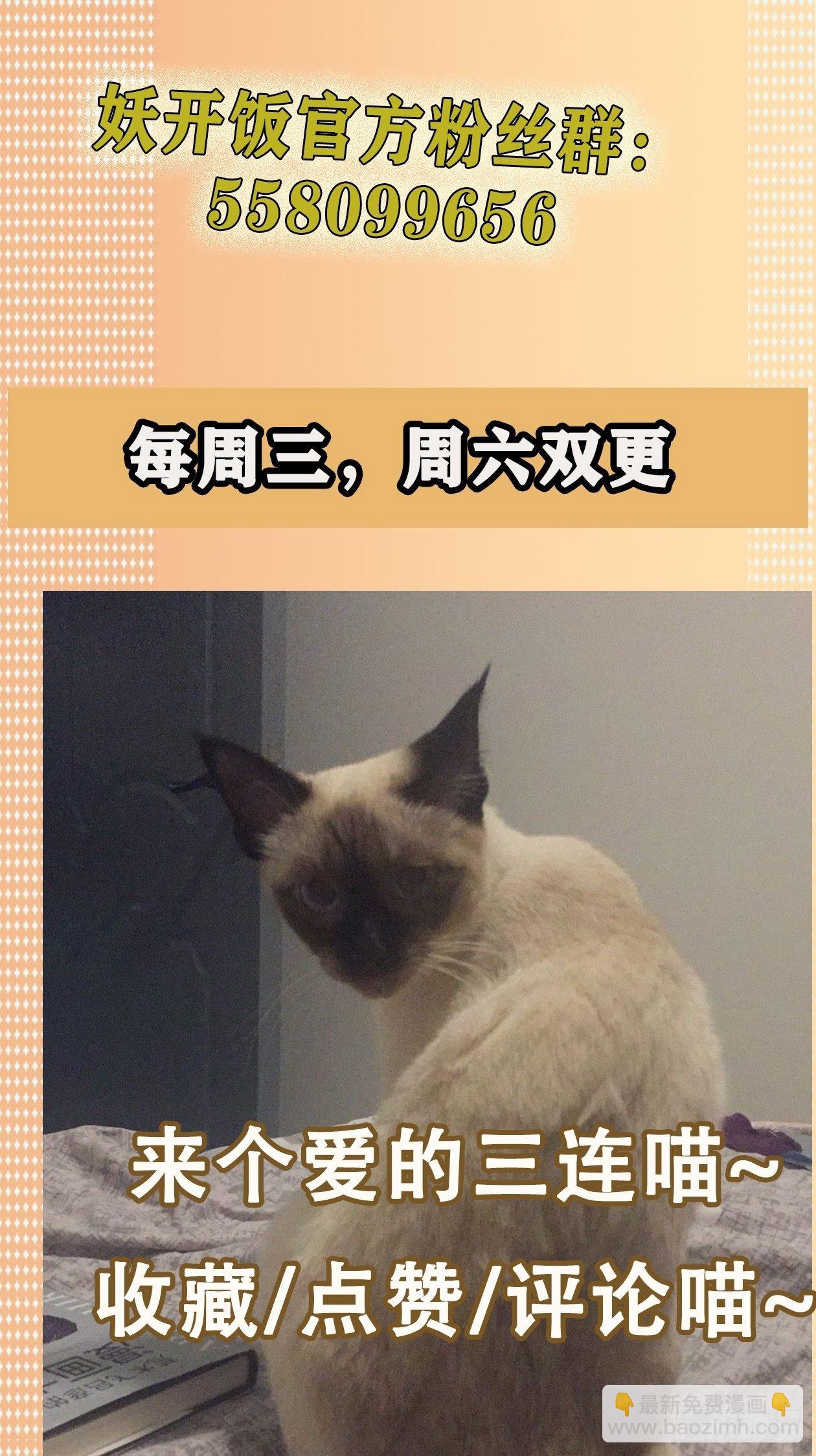 17.渡鸦26