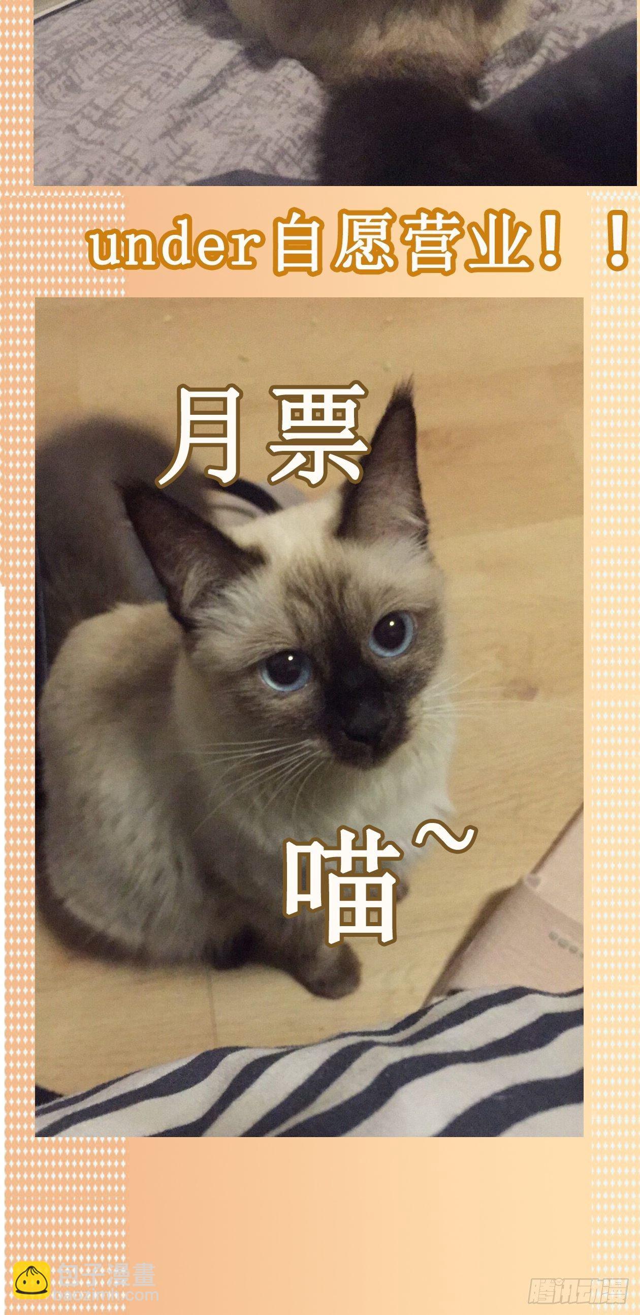 17.渡鸦27
