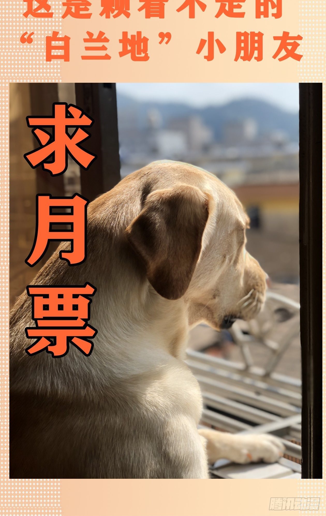 30.下锅了27