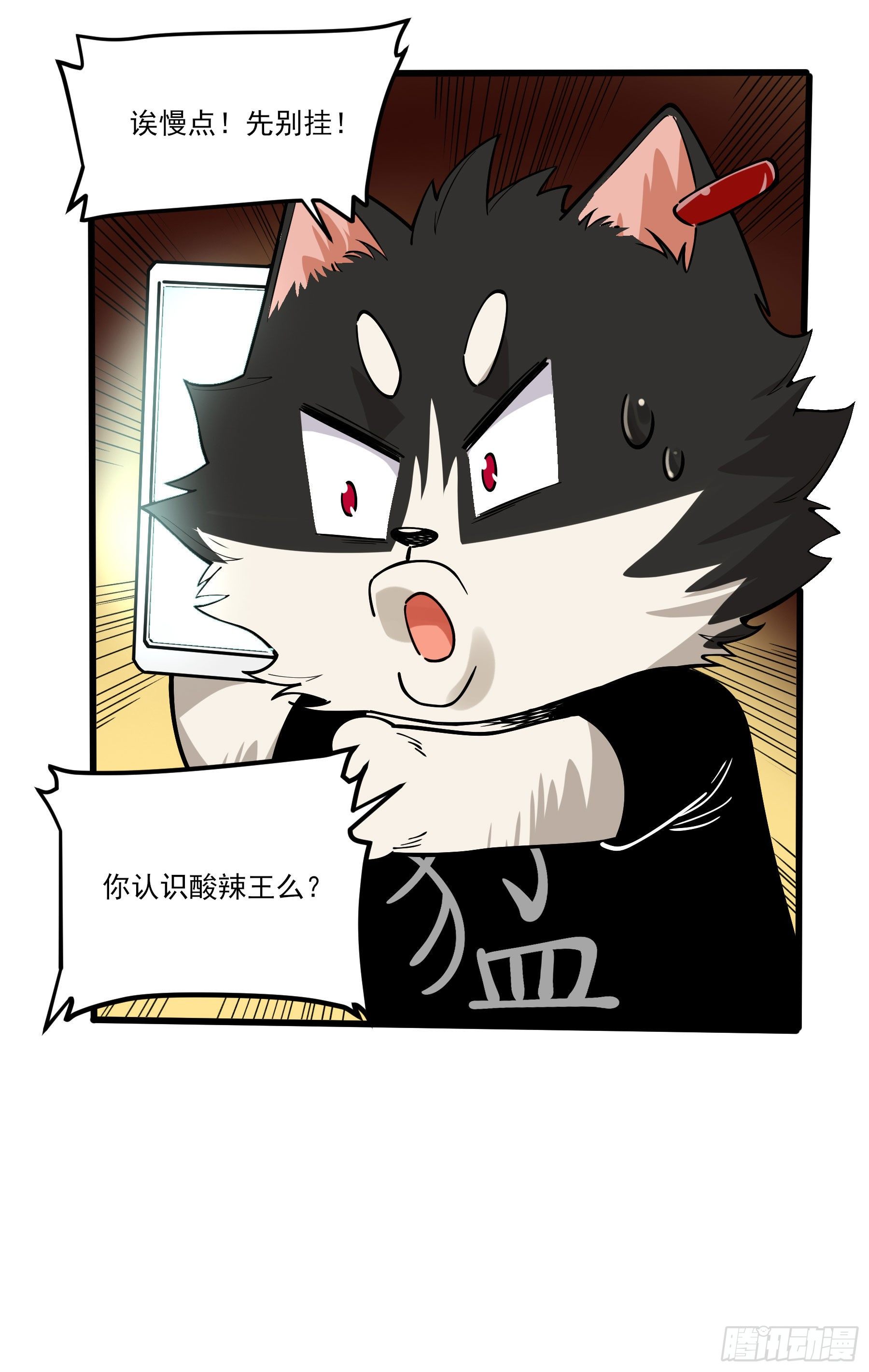 66.酸辣王21